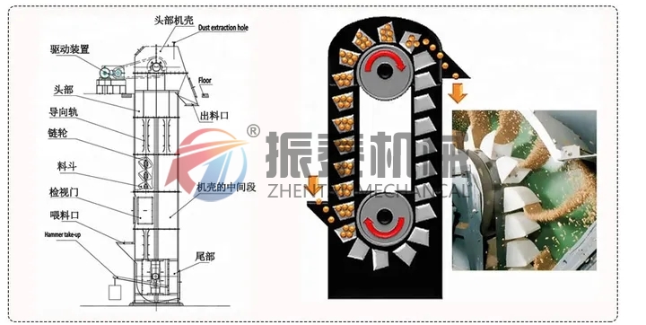 斗式提升機(jī)結(jié)構(gòu)原理